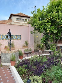 A beautiful and peaceful garden