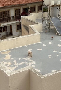 Room view :)🐾