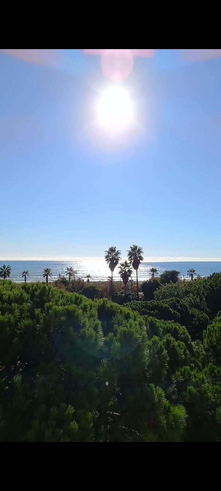 Vue de la chambre