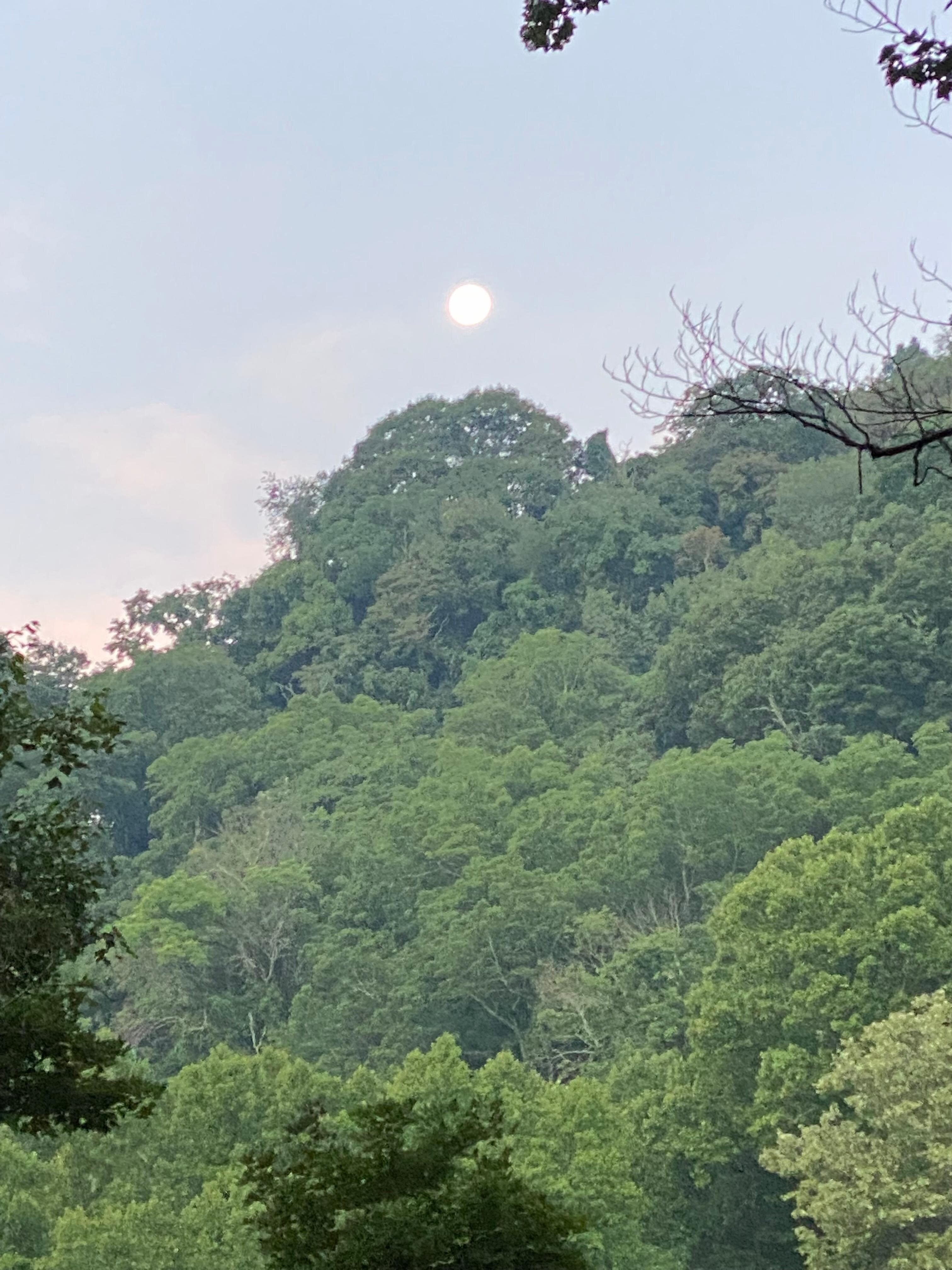 Moon at day break.