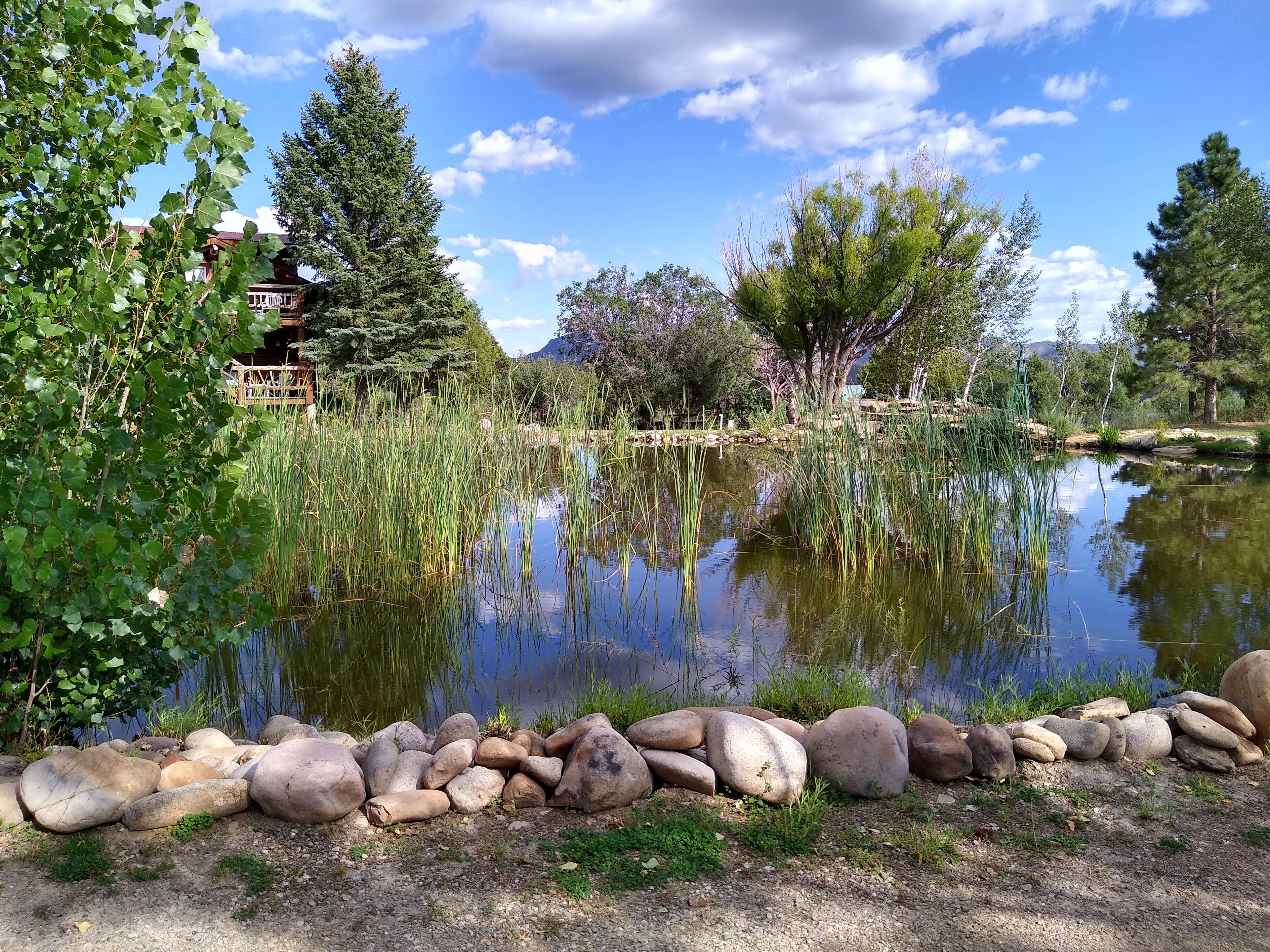 Pond on premises