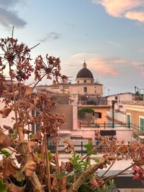 Ire from terrace