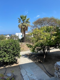 View from the terrace