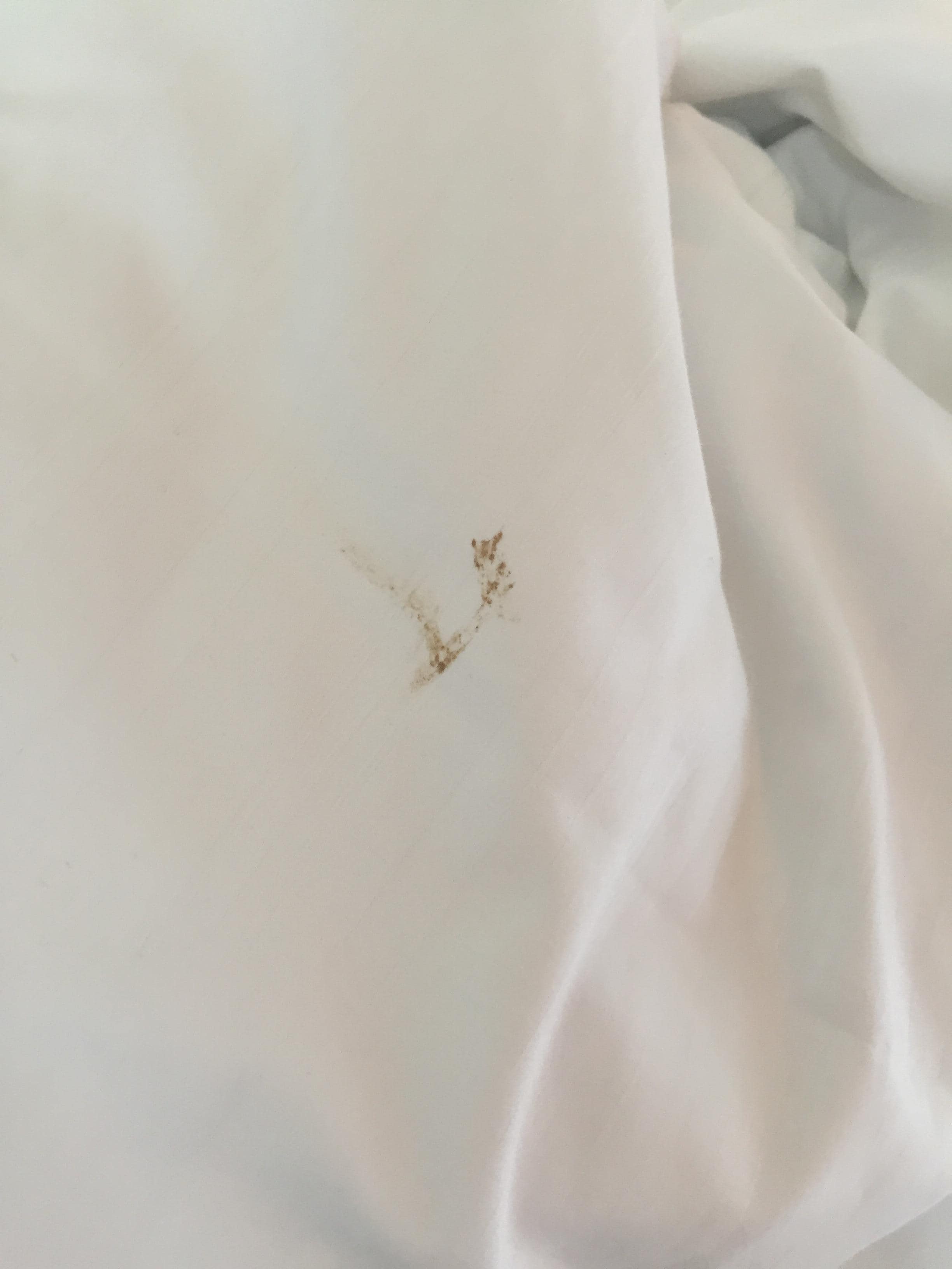 The stain