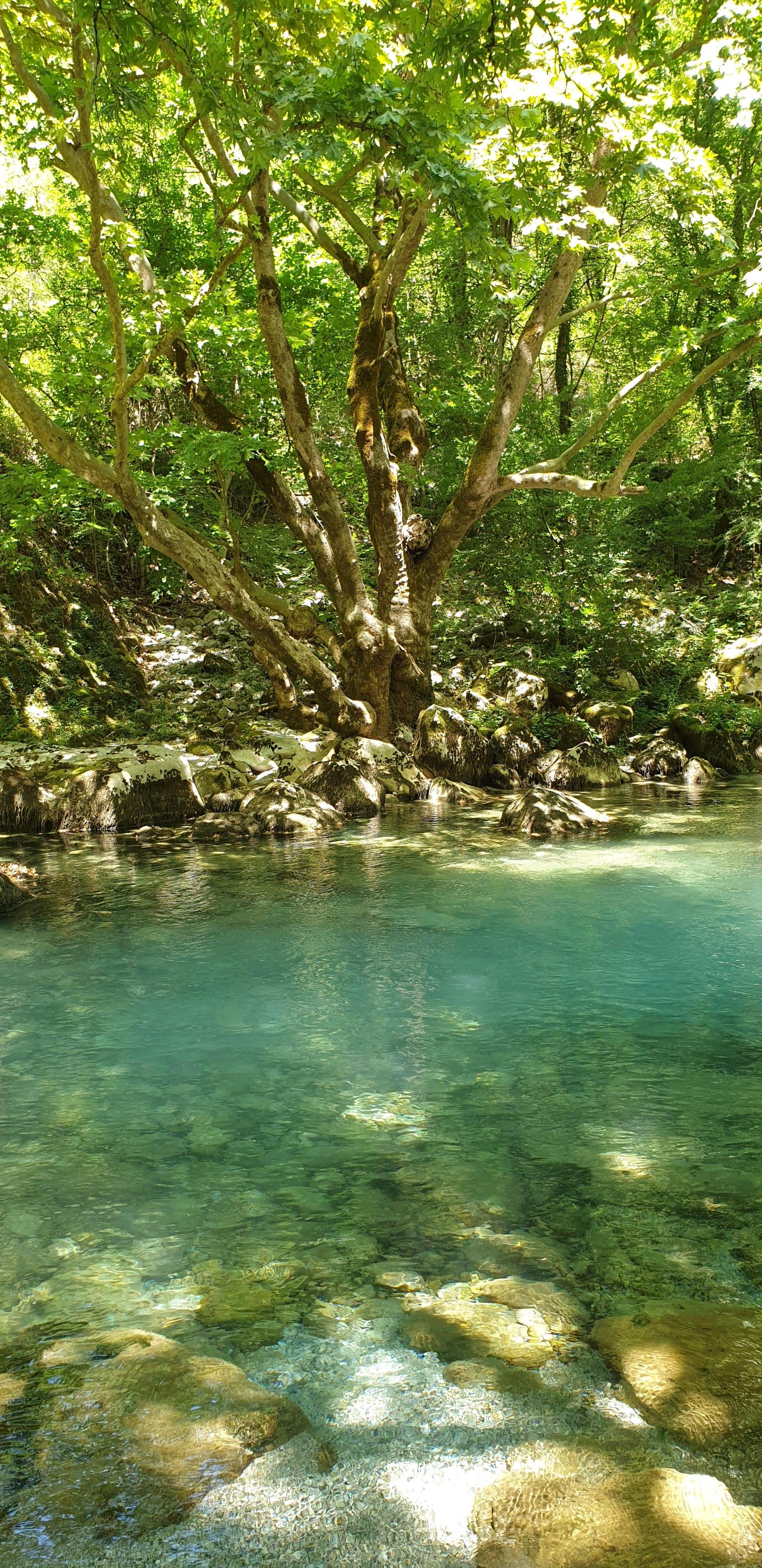 Dans les gorges de Vikos, à 1h30 de marche de l'hôtel