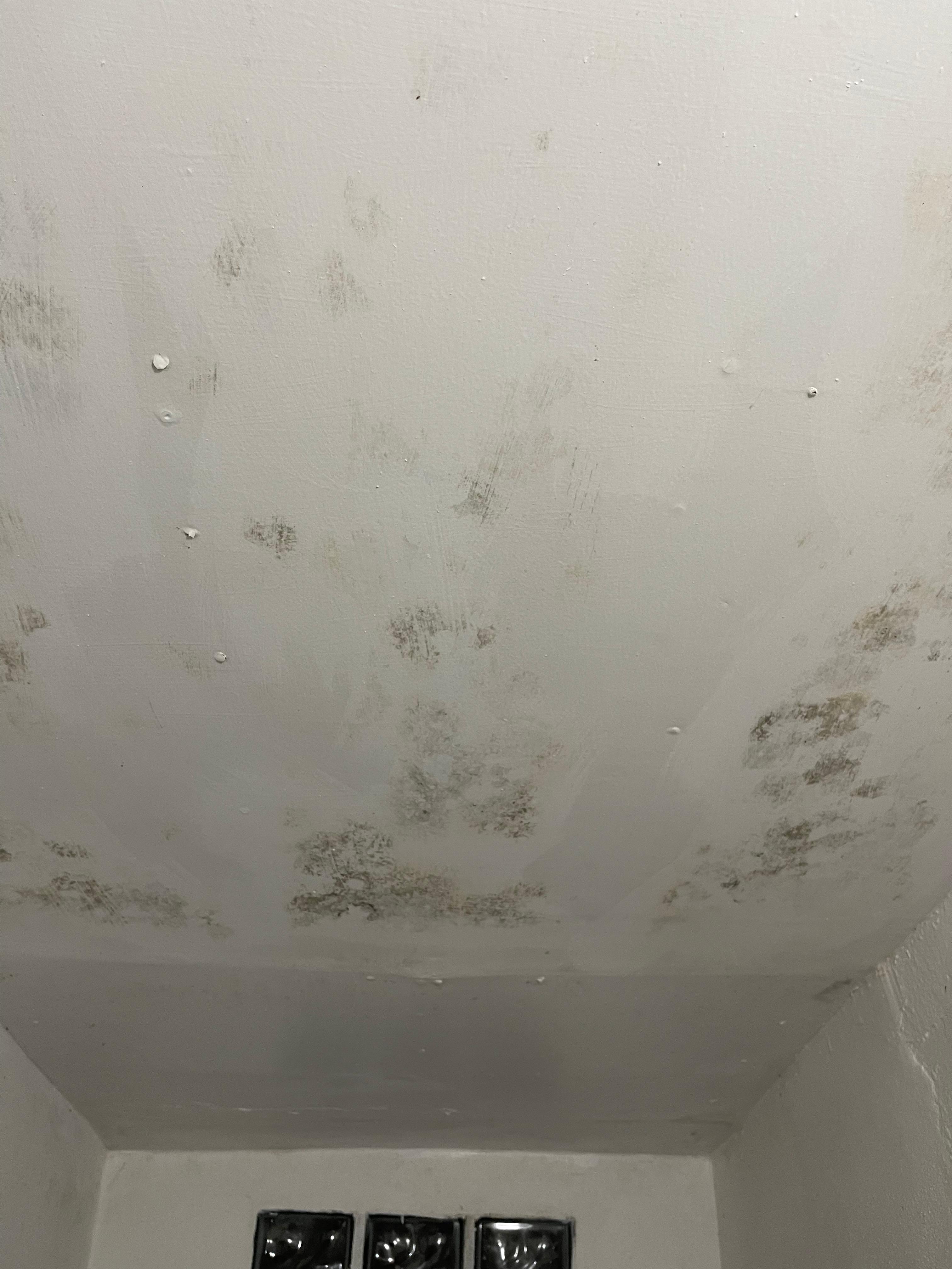 Ceiling mildew