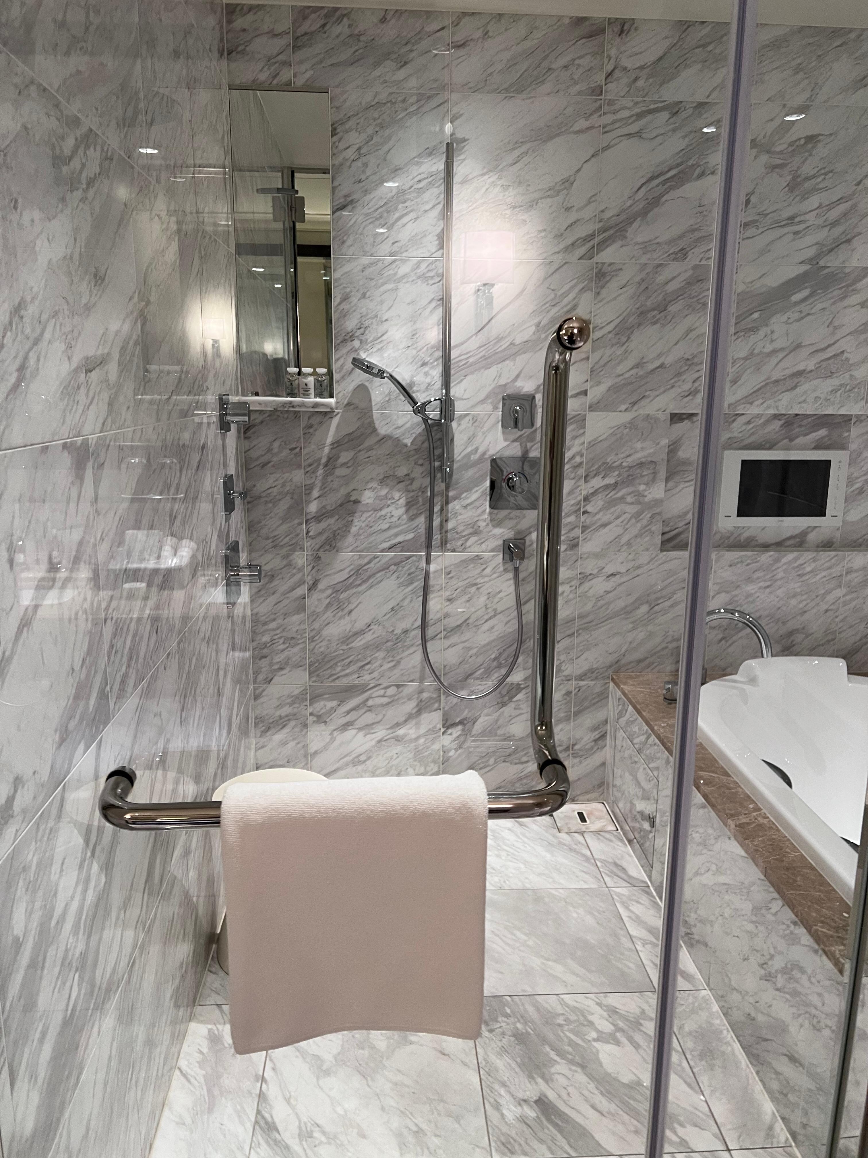 Rain shower and handheld shower with jet tub
