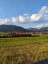 View from outdoor onsen