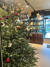 Lobby just after Christmas