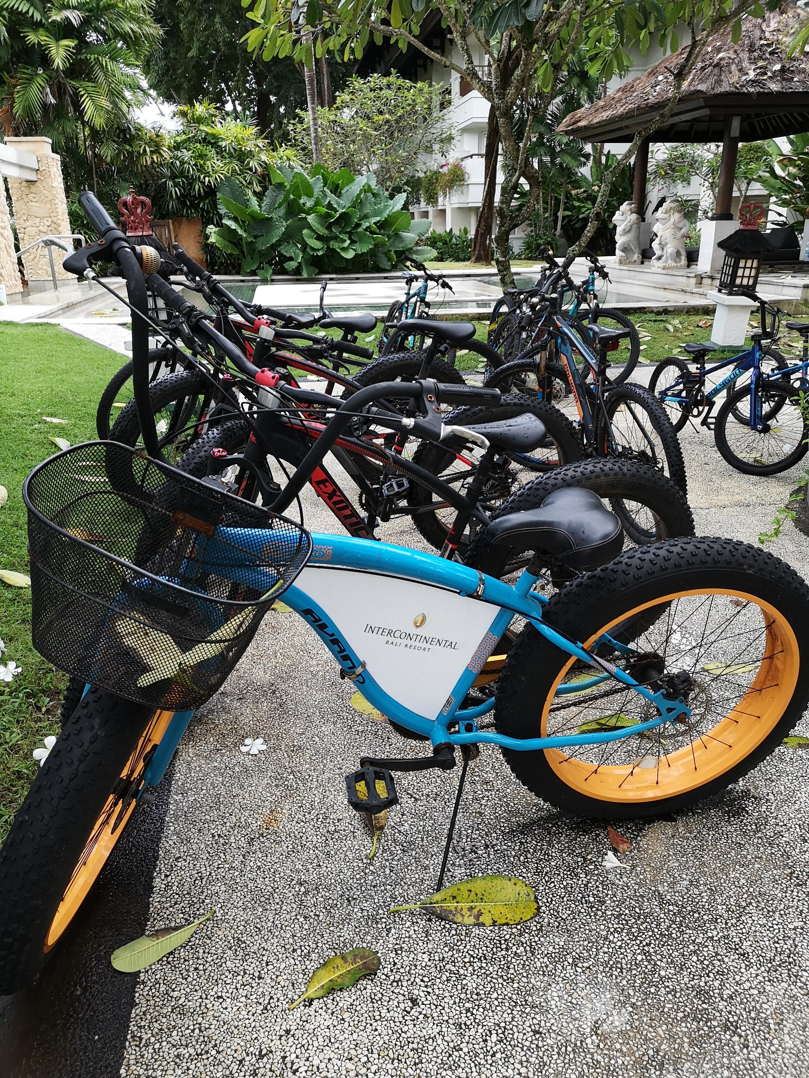Bike Rental