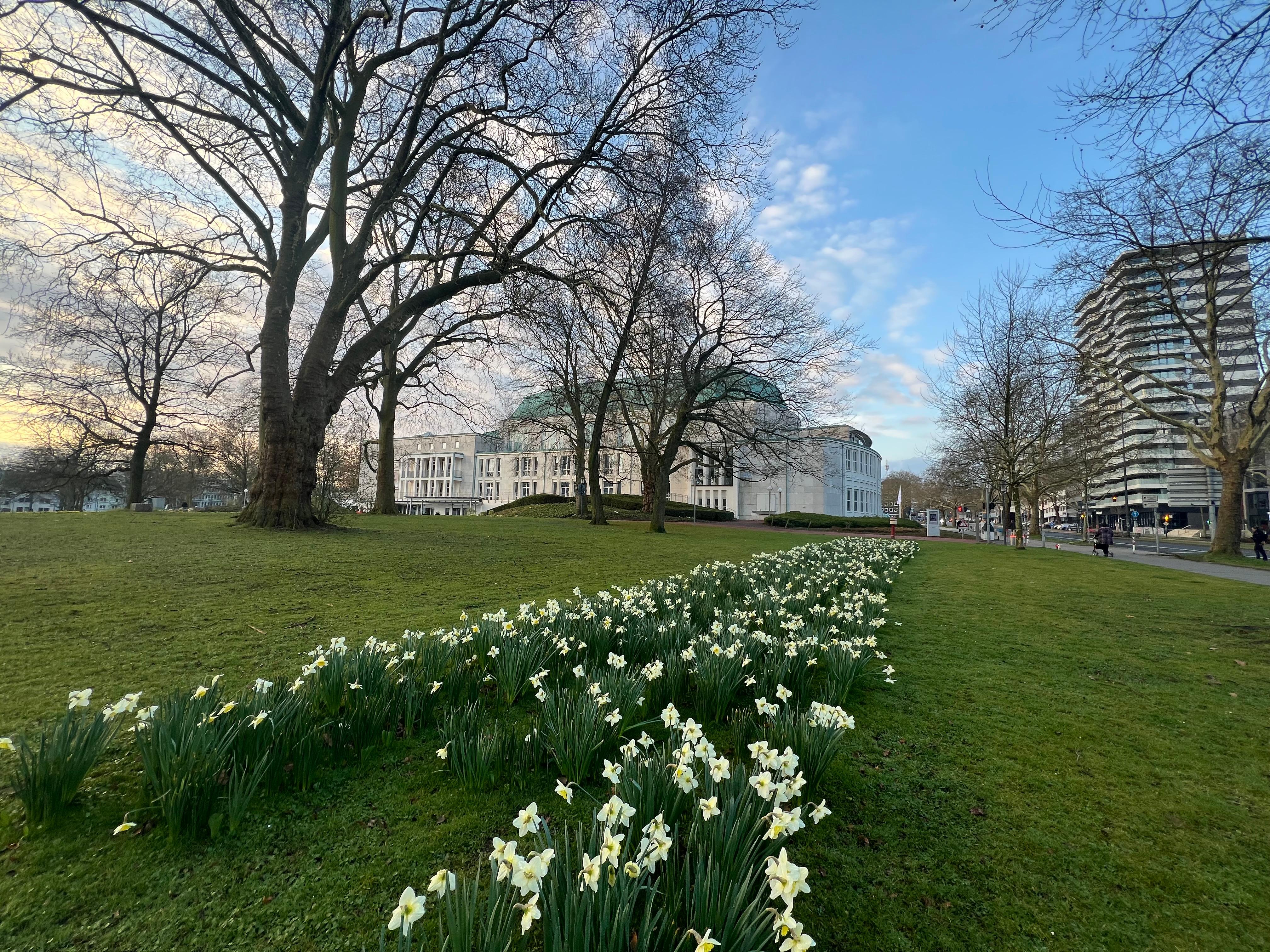 Stadt Garten