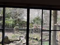 View from room to garden