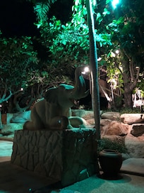 Elefantbruser til efter strandbadning 😀