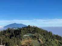 View the