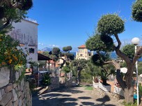 Le jardin