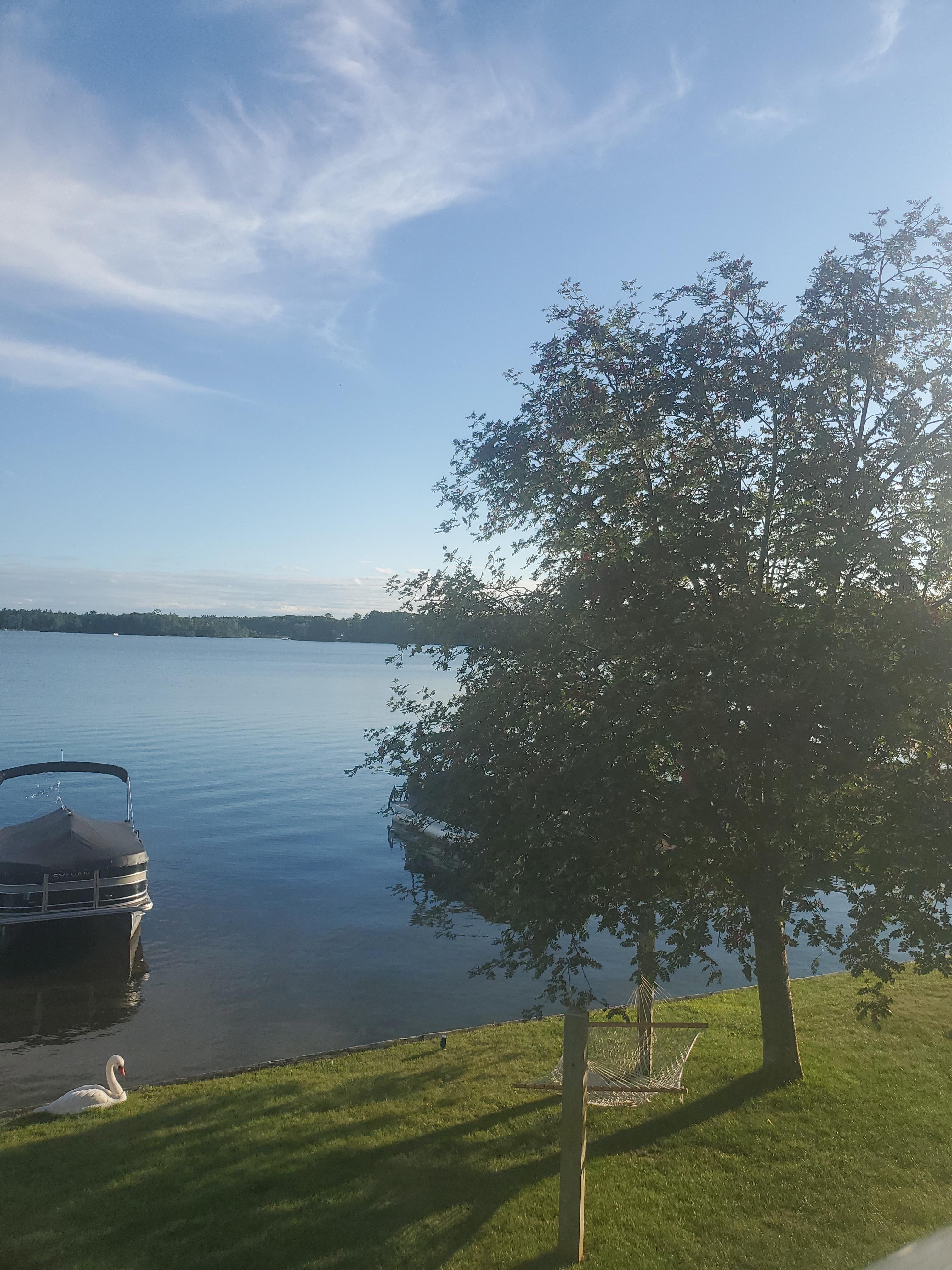 View from patio