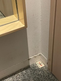 部屋の入口、鏡の横
黒いカビの生えたほこりが浮いている状態