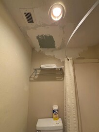 Bathroom ceiling