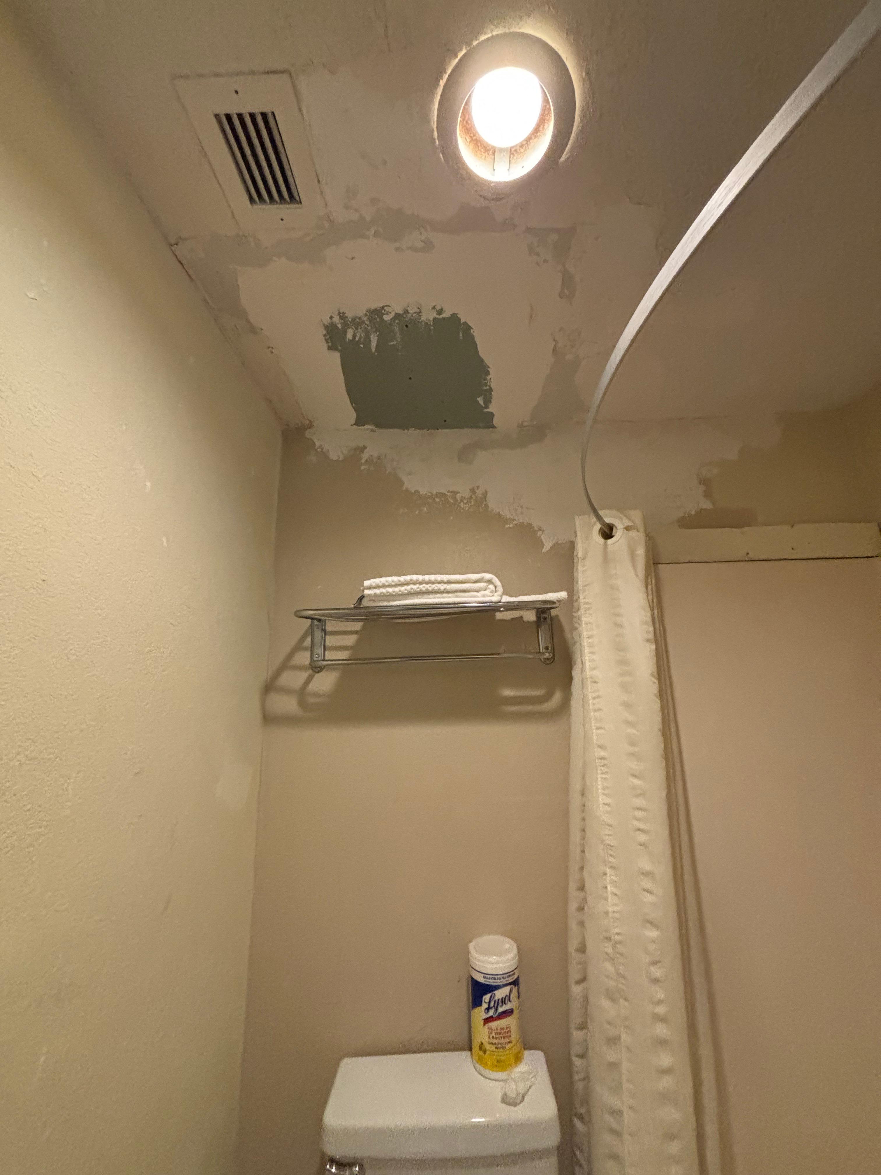 Bathroom ceiling