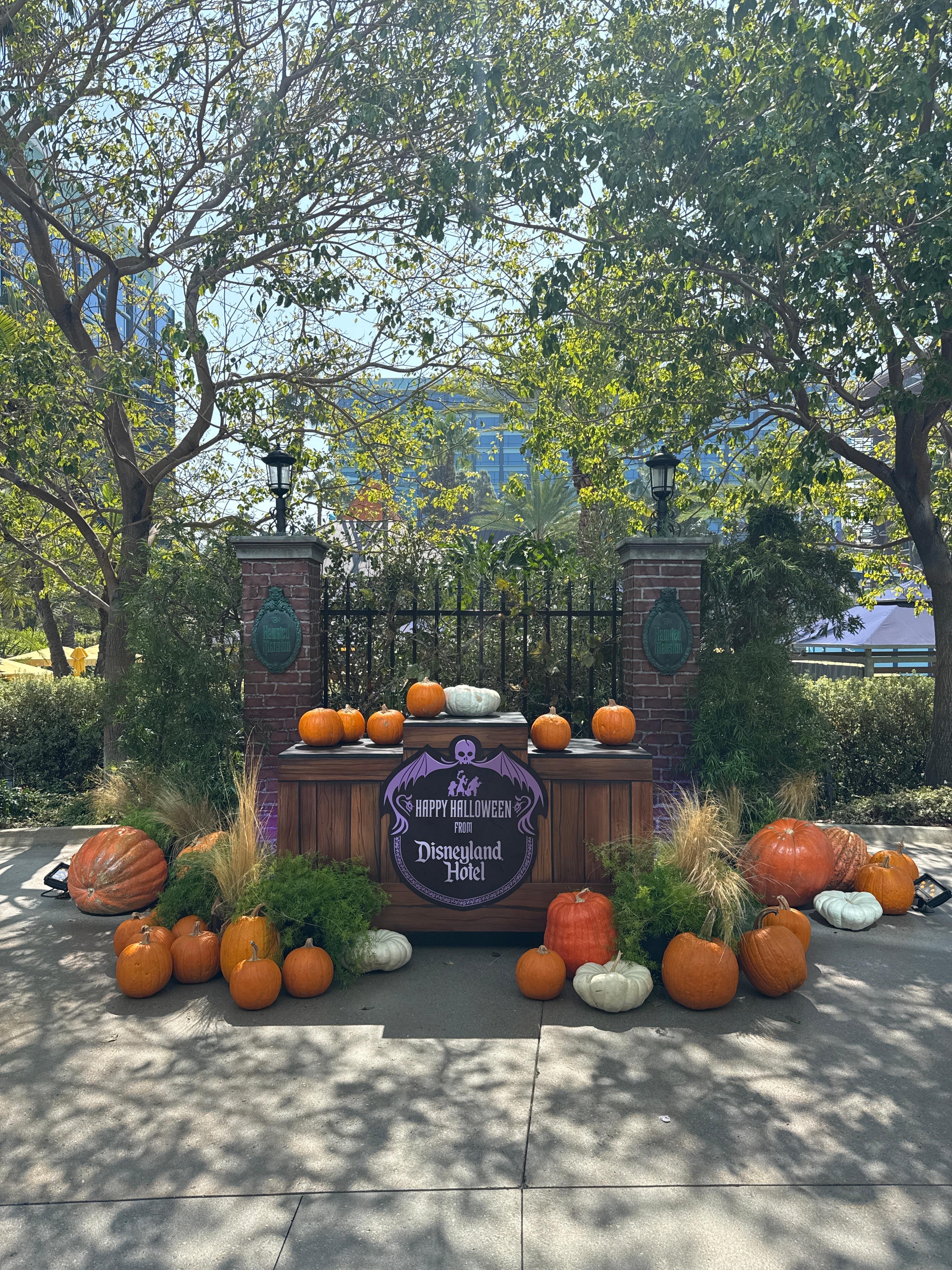 Sidewalk area for Halloween 