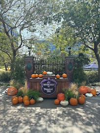 Sidewalk area for Halloween