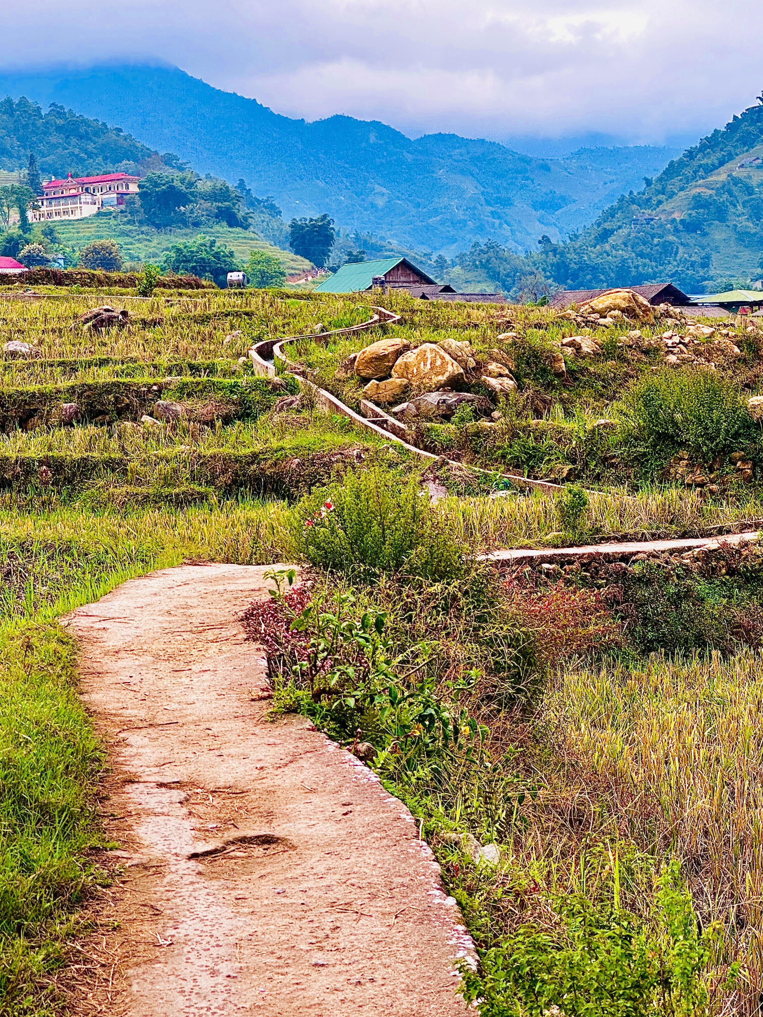 Trekking the "little path" thru rice paddies of local Black Hmong village that you share with motor bikes, school children, etc.