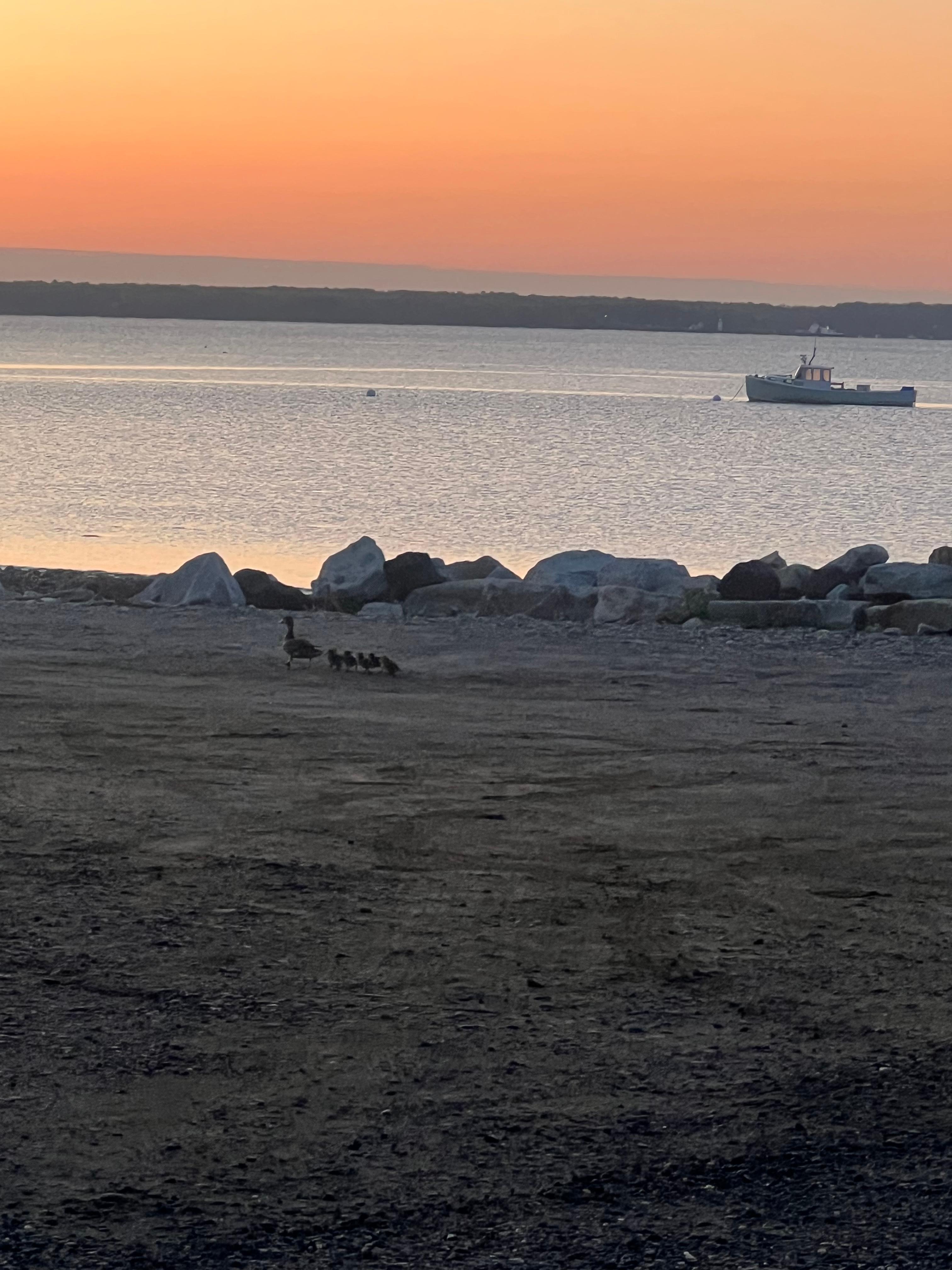 Morning sunrise on the bay just outside.