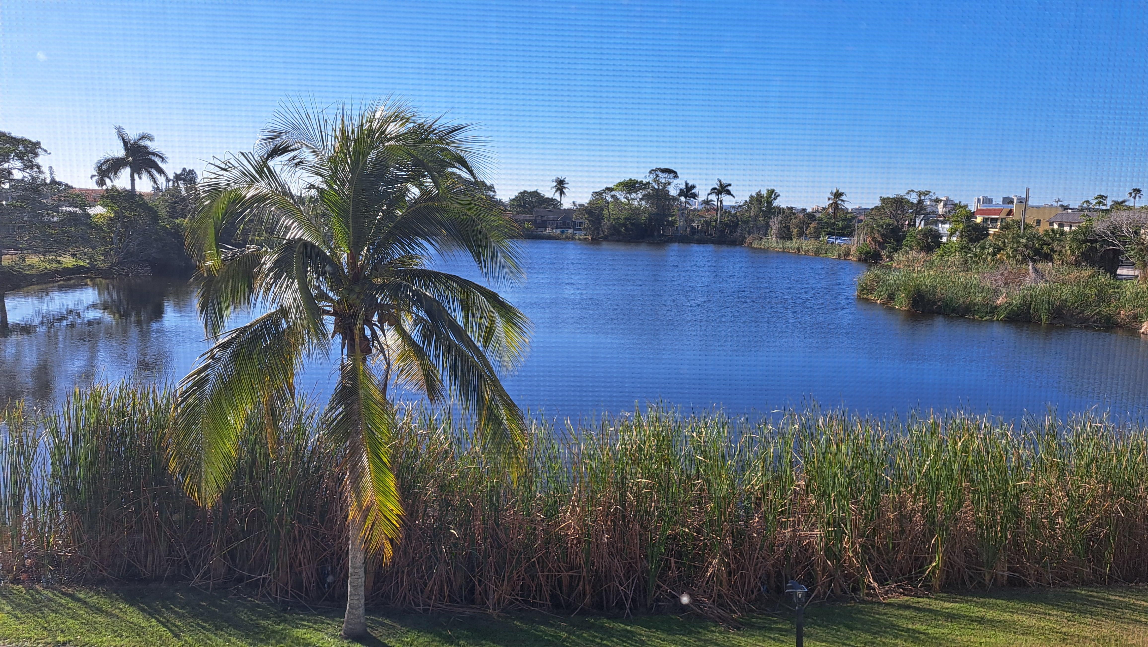 View from bedroom terrace. Sweet! 