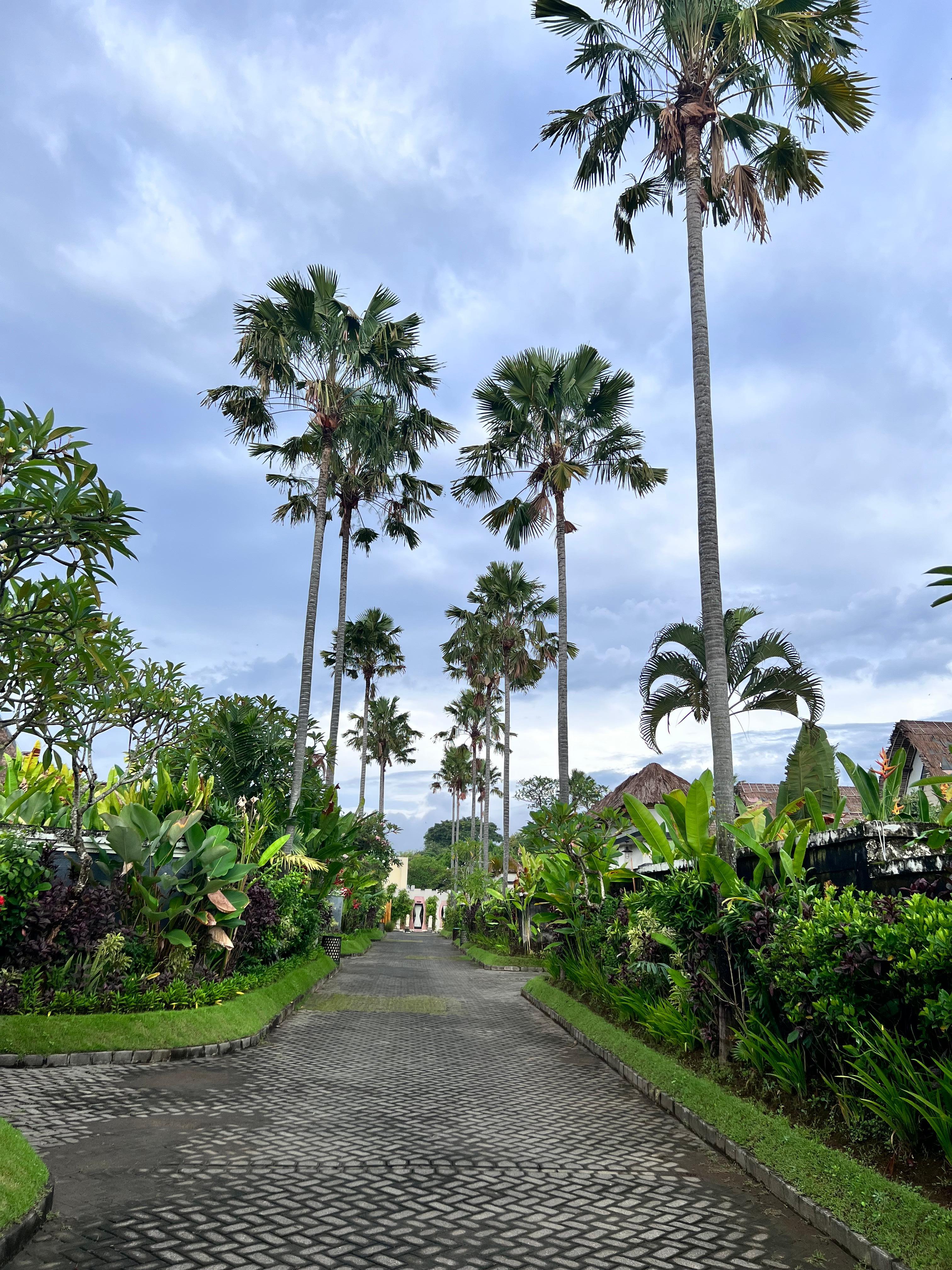 Walk from our villa to the reception area/restaurant 