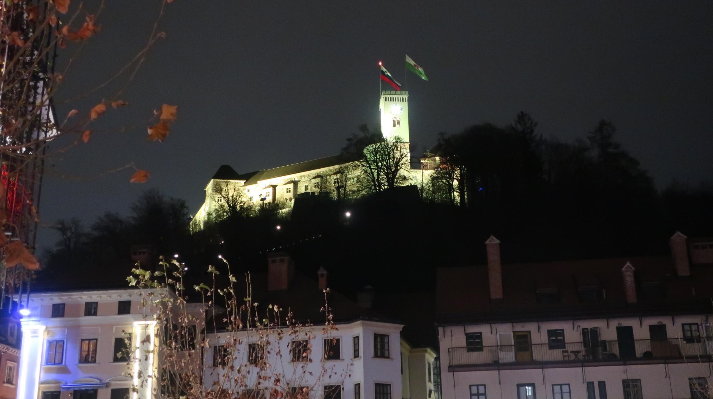 Blick zur Burg