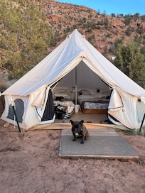 Dog friendly!
