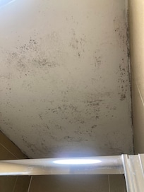 Ceiling in the bathroom