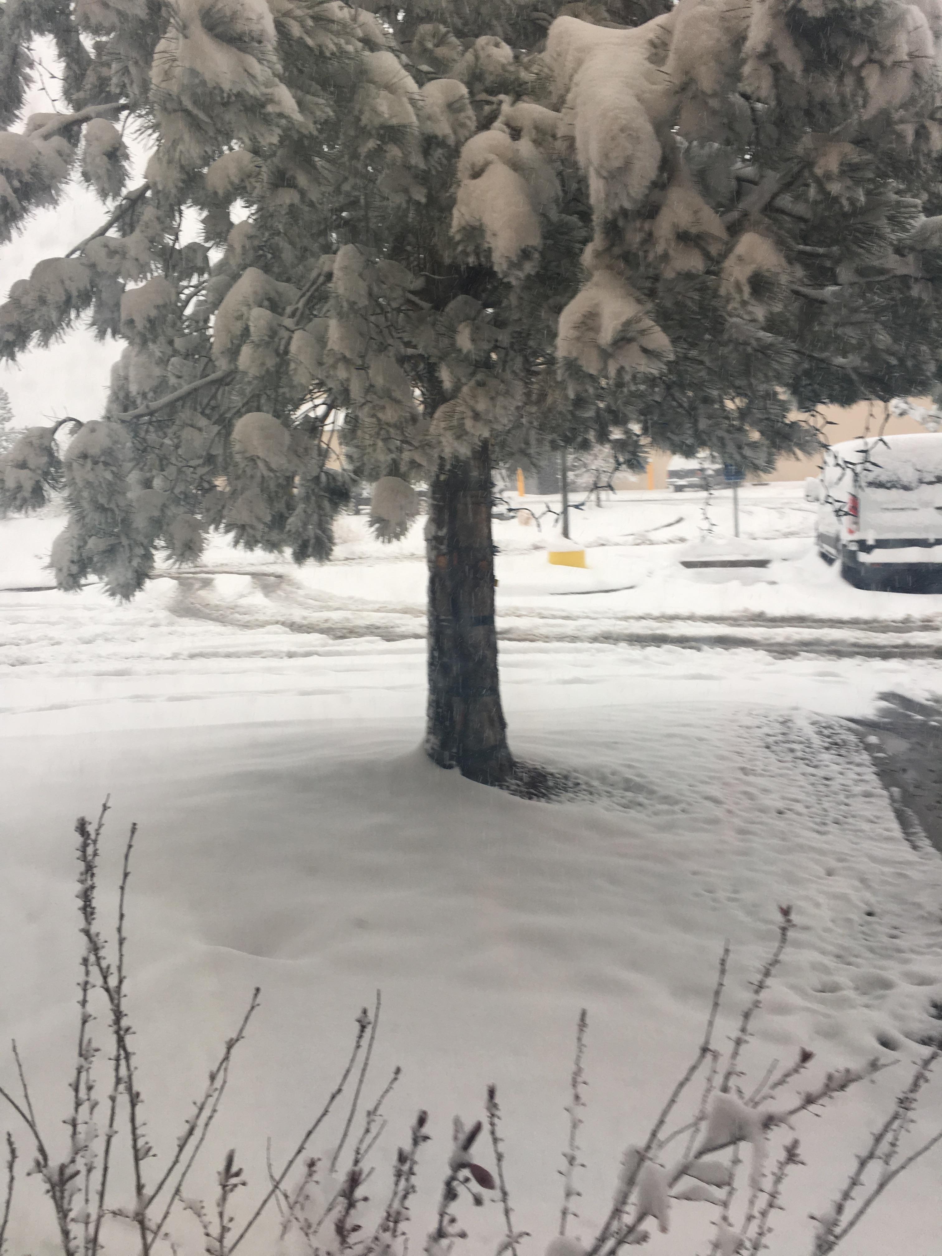 Light snow in Denver