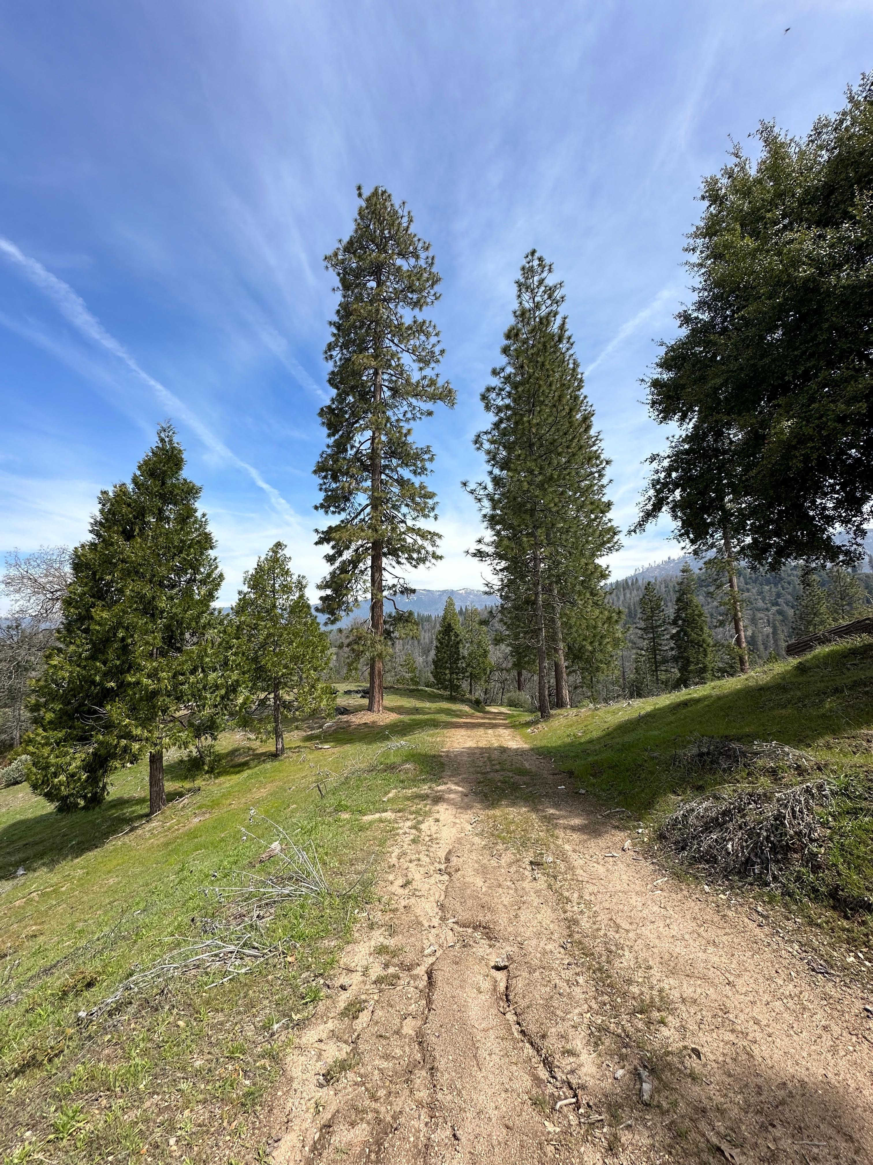 The path beyond the cabin