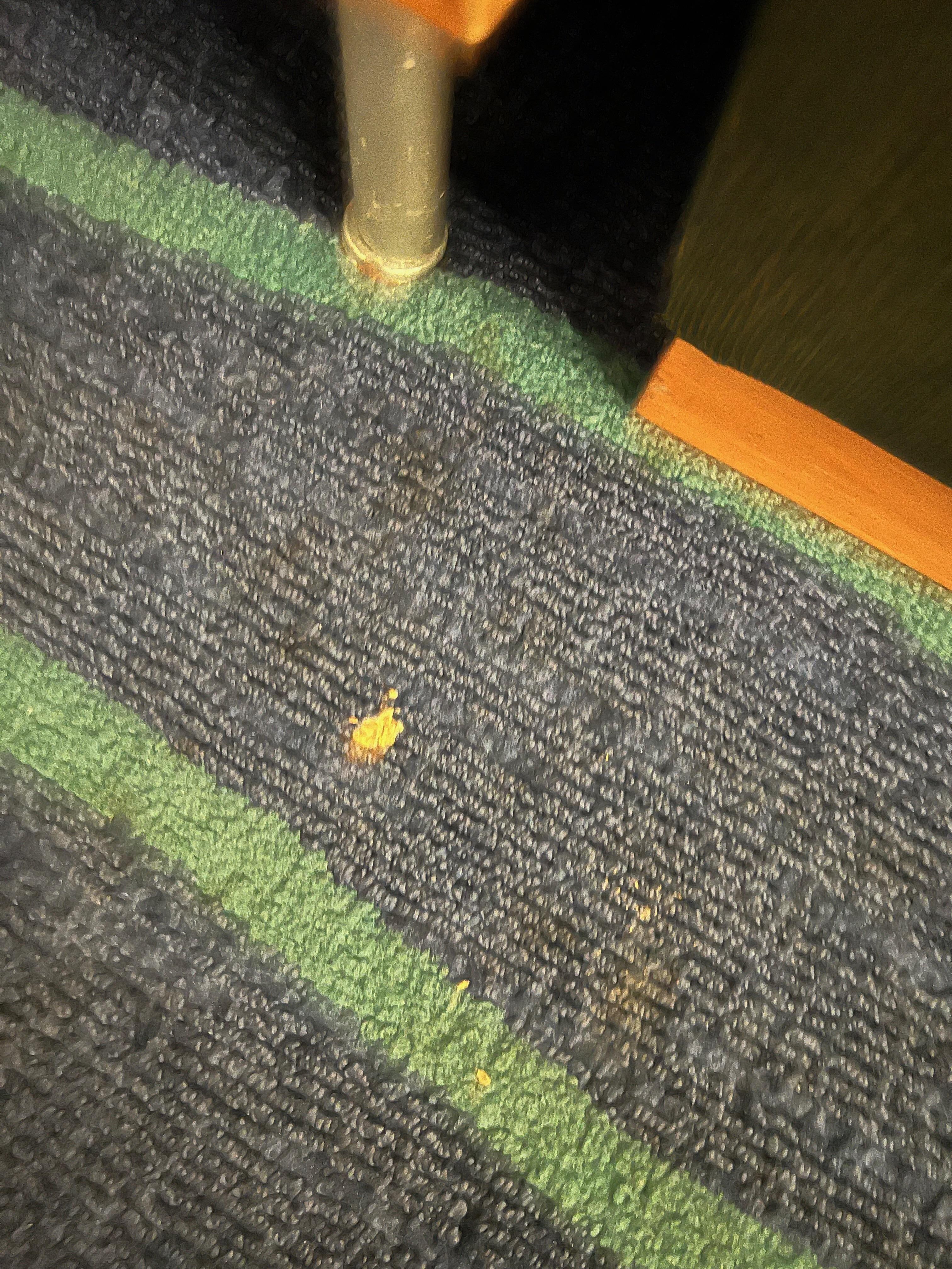 Stains and crumbs were present on the carpet.