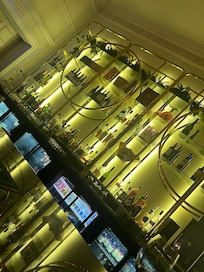 the bar