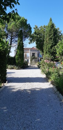 Allée ombragée avec arbre fruitier et massifs florales.