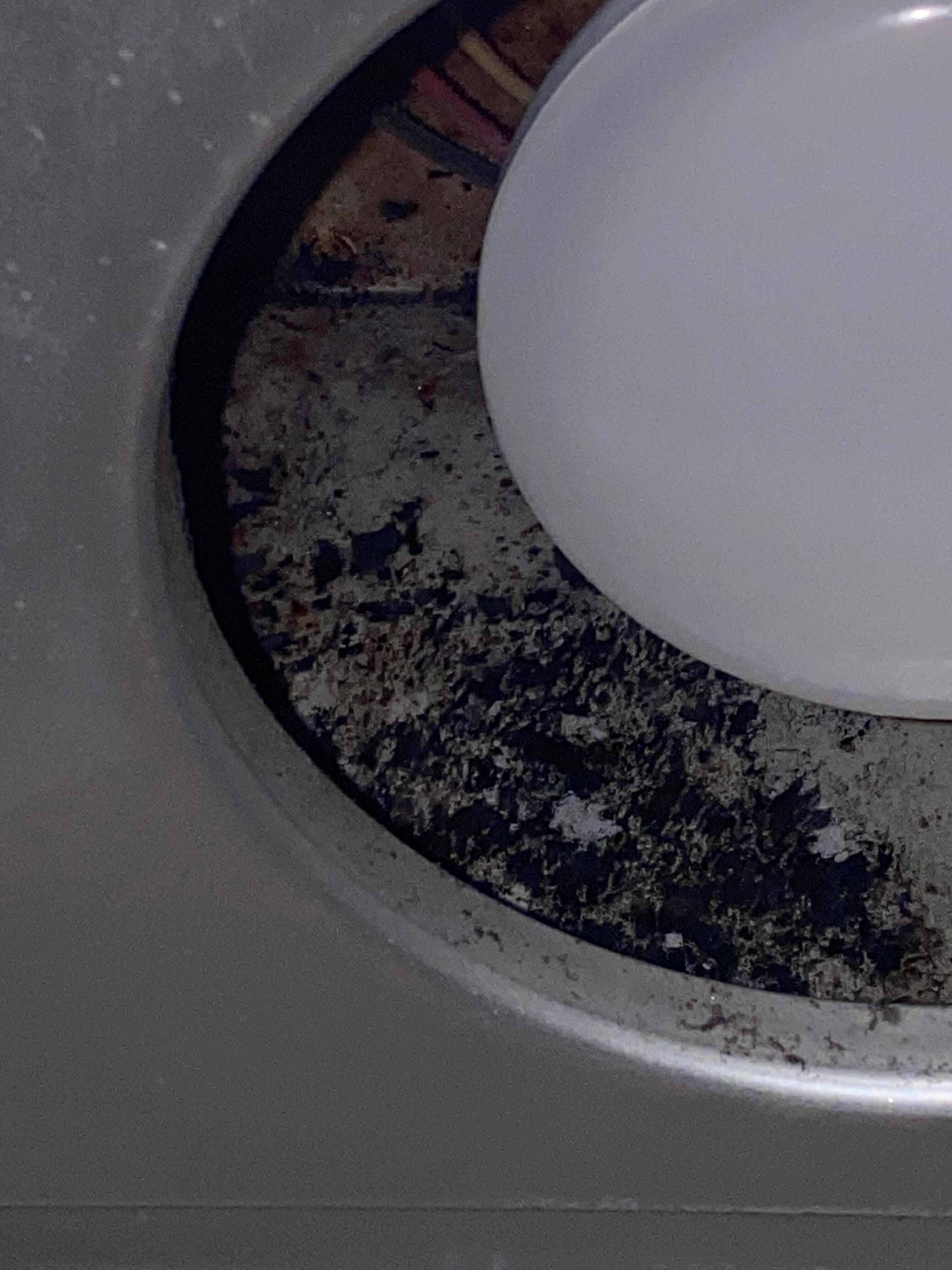 BLACK MOLD in bathroom light opening