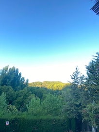 Amanecer entre los cantos de las aves