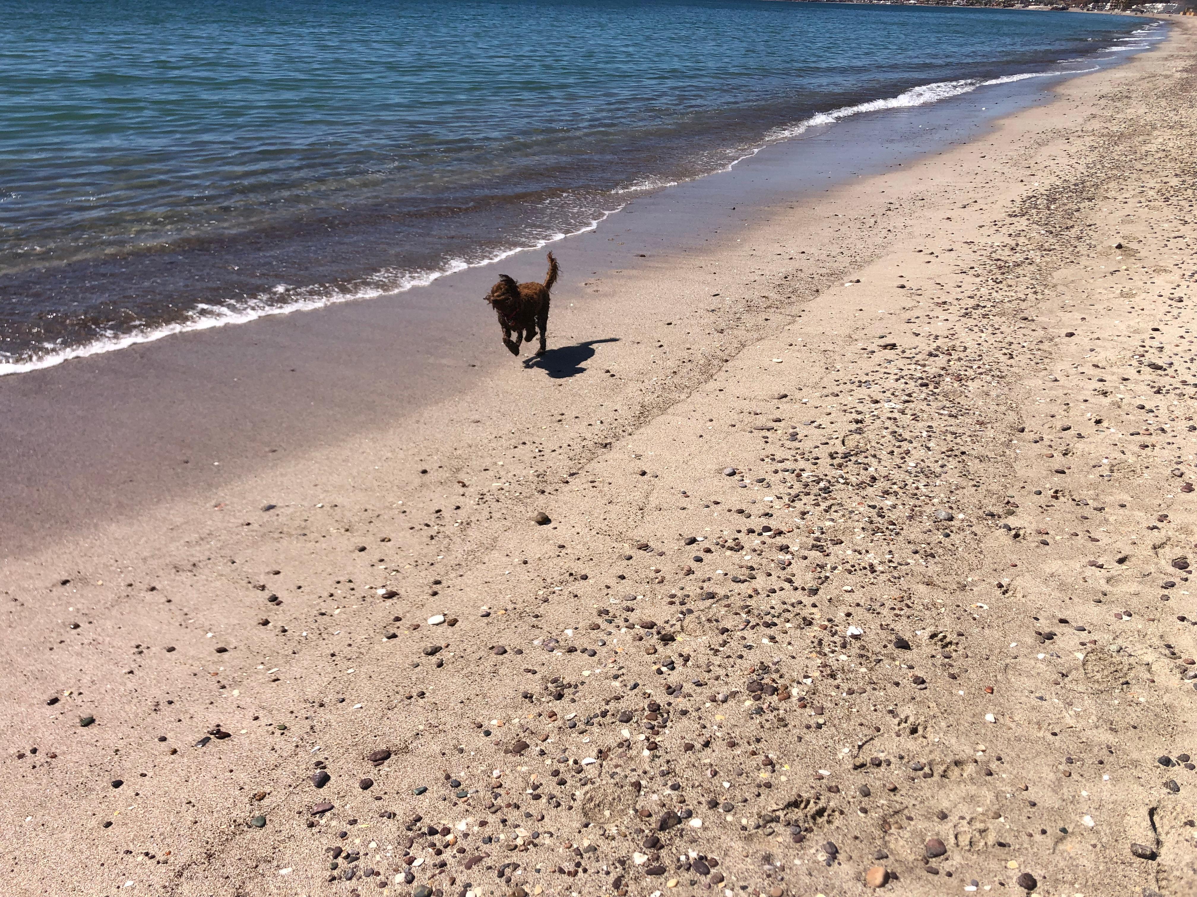 Short walk to the beach. 