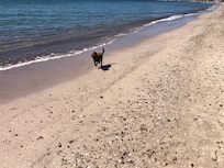 Short walk to the beach.