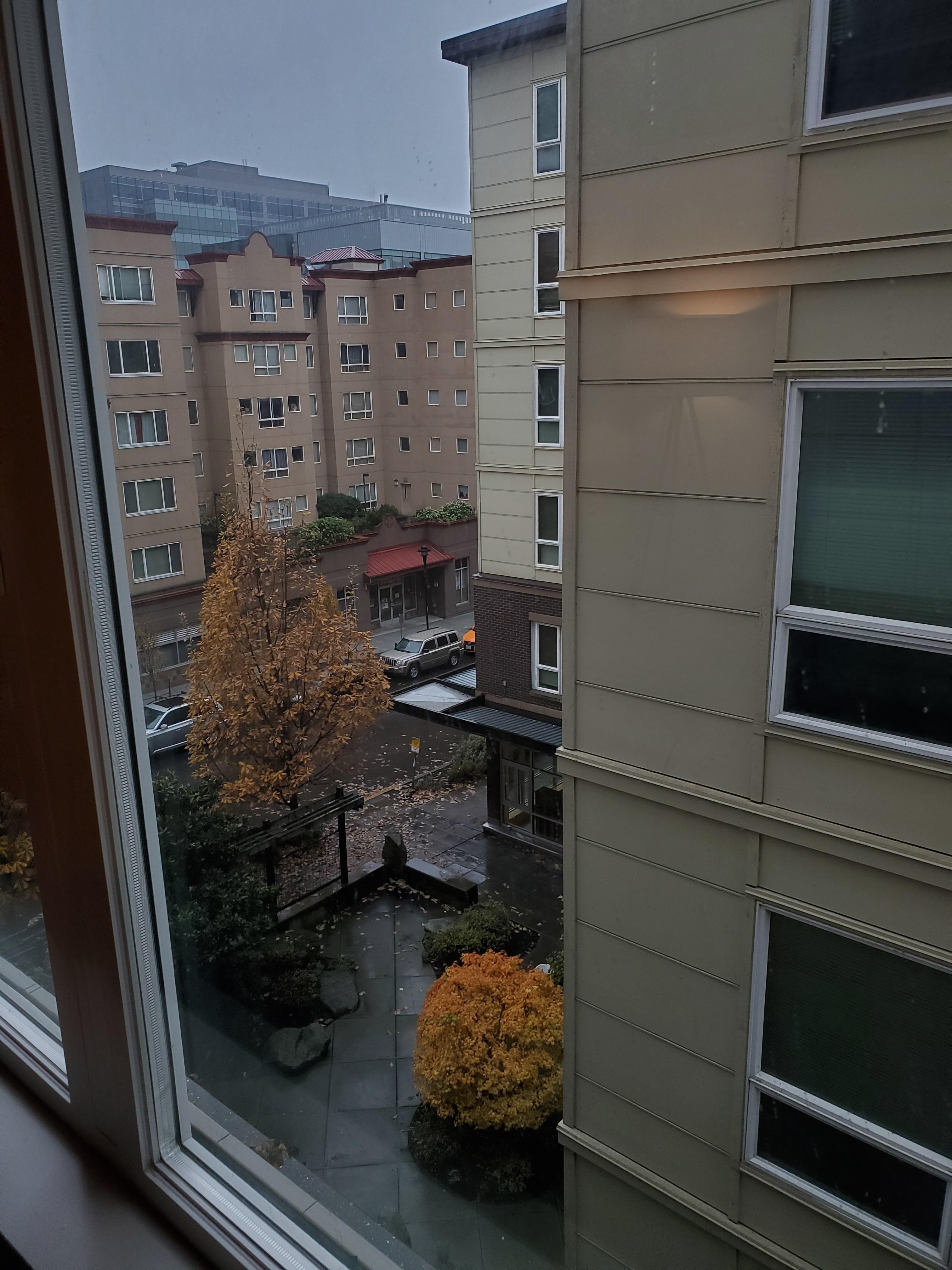 Peekaboo view