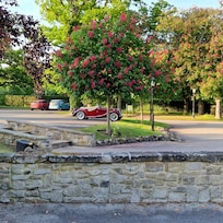 I could actually keep an eye on .y classic car as well!!