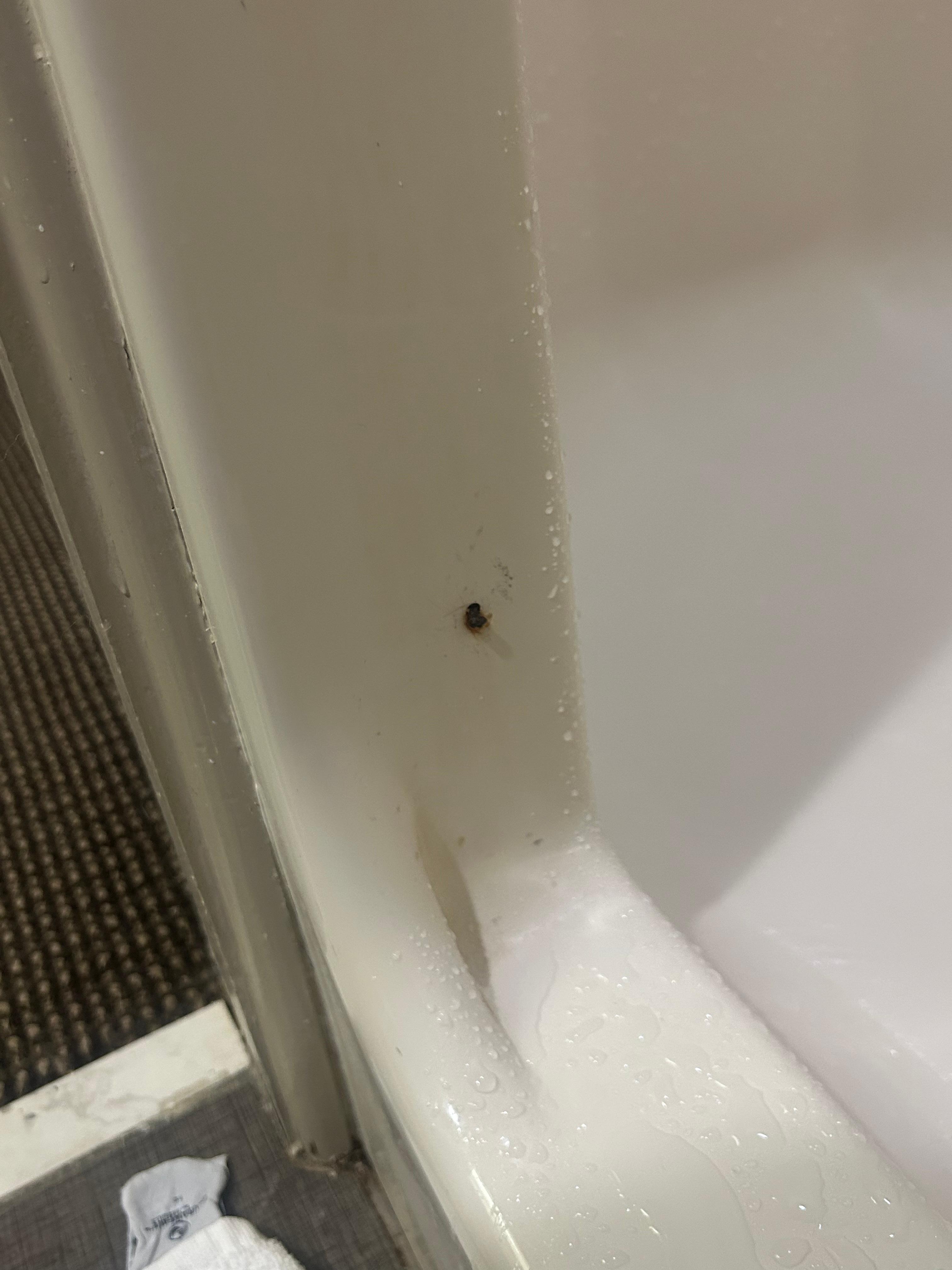 Something in the shower