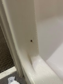 Something in the shower