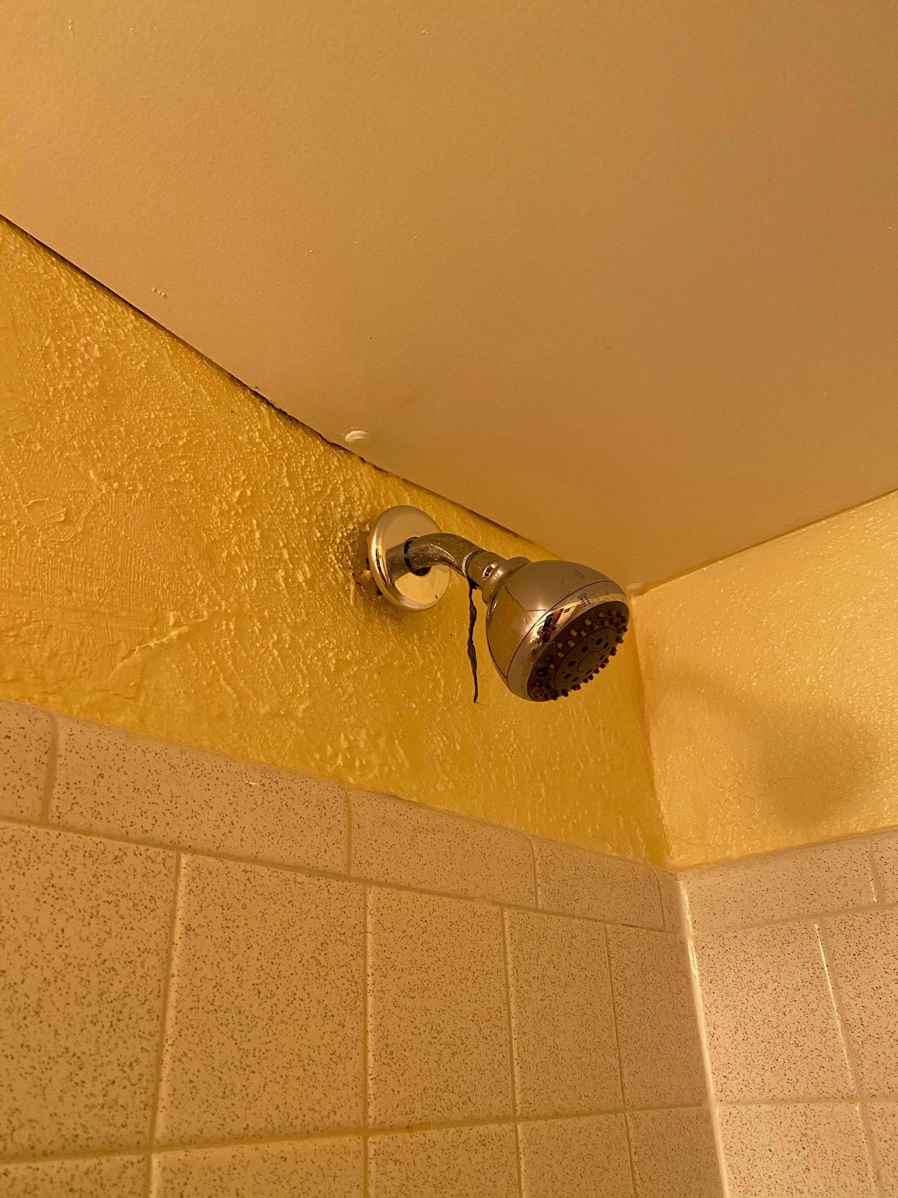 Some weird stuff hanging from the shower head