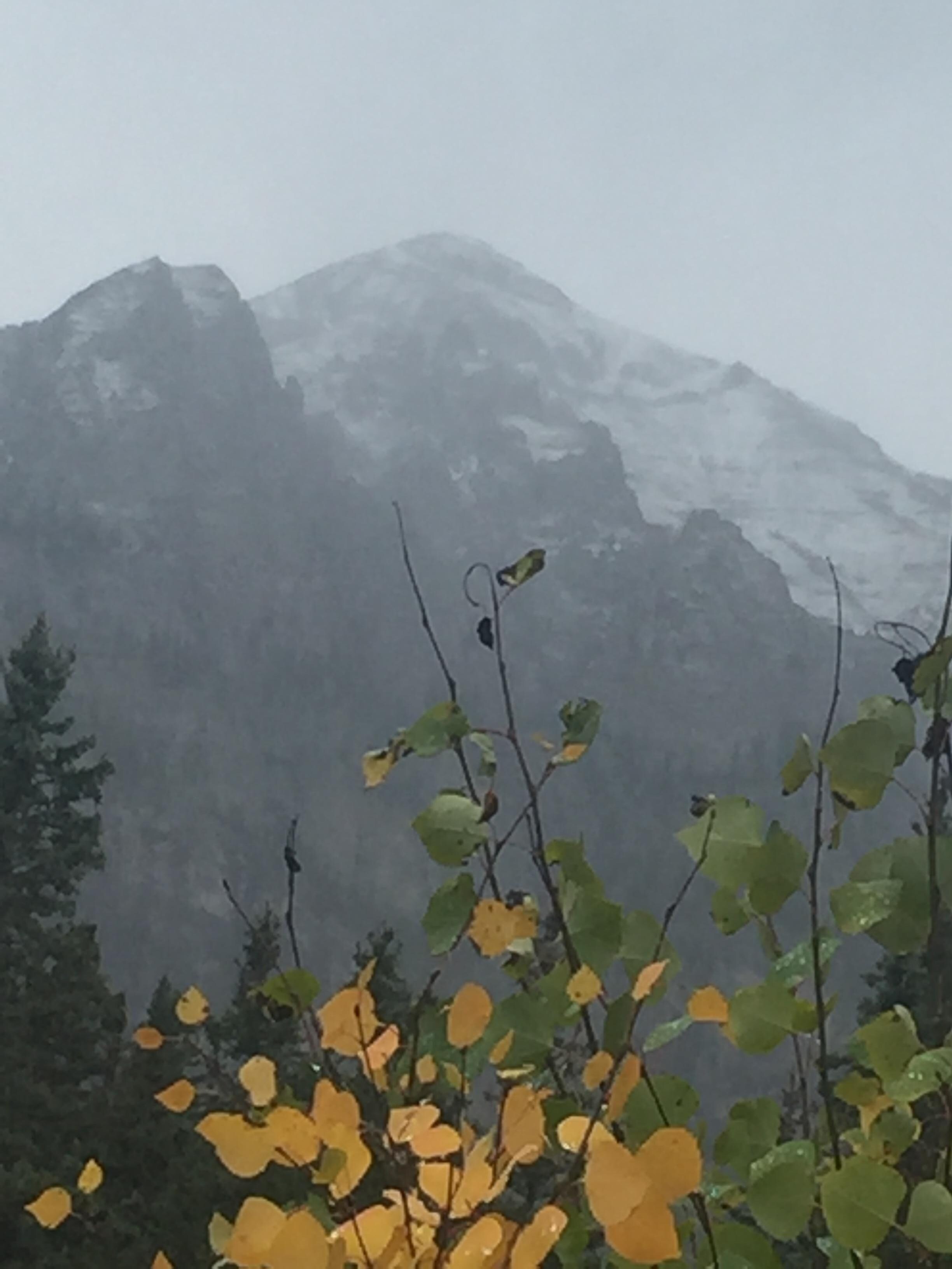 View of mountains from Bear Creek Trail