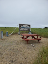 Trail to beach from our condo.
