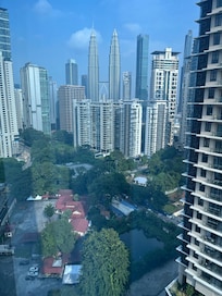 Window view