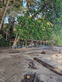 Beach area